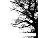 it stings when i think of you Single