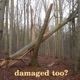 Damaged Too