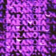 PARANOIA Single