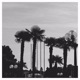 Tropical Single