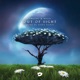 Out of Sight Home By Dawn Remix Single