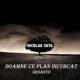 Doamne ce plan incurcat feat DeSanto Single