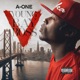 Young Bay Boss 5