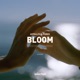 Bloom Single