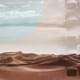 Desert Stars Single