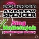 Sing Hallelujah Raindropz Remix Remixes Single
