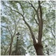Highbury Fields EP