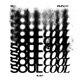 SOUL COOL