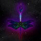 Dragonfly Single