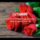 Luthando feat Dr Kind Caliber Olex Treyz Fezile SA Force Jnr Single