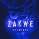 Usenzani Single