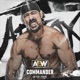 Commander AR Fox Theme feat Wrestle And Flow Single