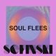 Soul Flees Single