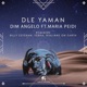Dle Yaman Tebra Remix Single
