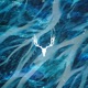 Ambient Express EP