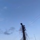 stranded Single