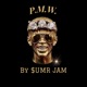 P M W feat The Neptunes Single