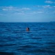 Sink feat Godrich Single