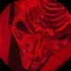 Demon Single
