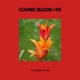 Cosmic Bloom 05