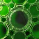 Lipid Single