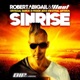 Sinrise Official Dance D Vision 2013 Festival Anthem Extended Mix Single