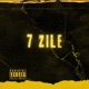 7 ZILE Single