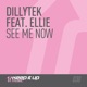 See Me Now feat Ellie Single