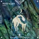 Nostalgia Single