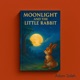 Moonlight and the Little Rabbit Single
