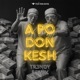 A Po Don Kesh TR3NDY REMIX Single