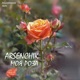 Моя роза Single