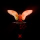 ICARUS feat Moneo Single