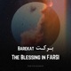 Barekat The Blessing in FARSI feat Niloofar Single