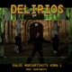 Delirios feat Dharta Beats Single