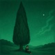 Cypress Single