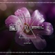 Relight My Fire Single
