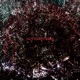 Hopelessness Single