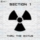 Thru the Exitus Single