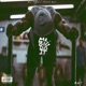Mr Big Do It Single