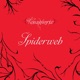 Spiderweb Single