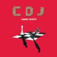 Game Over Single