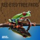 Red Eyed Tree Frog Single