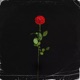 Flowers feat IknownAko Single