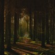 Camino Single