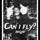 Can i fly Single