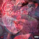 Toxic Girl Single