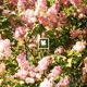 Not Your Fault Single