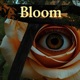 Bloom Single