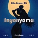 Ingonyama Single